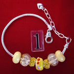 Load image into Gallery viewer, Celebrate Sammy! Bracelets - Summer Collection
